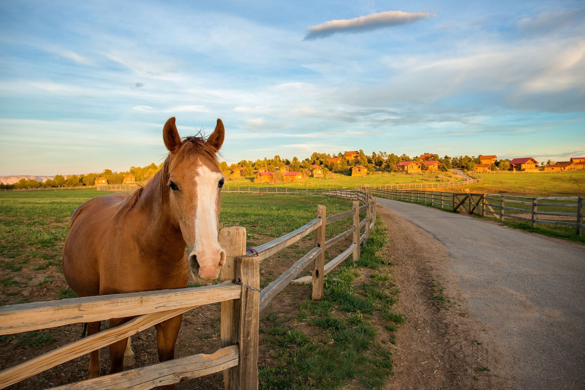 Zion Mountain Ranch Mount Carmel Junction